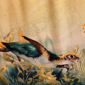 Coral Bay turtle top